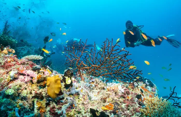 Malediivien parhaat nähtävyydet sijaitsevat pinnan alla