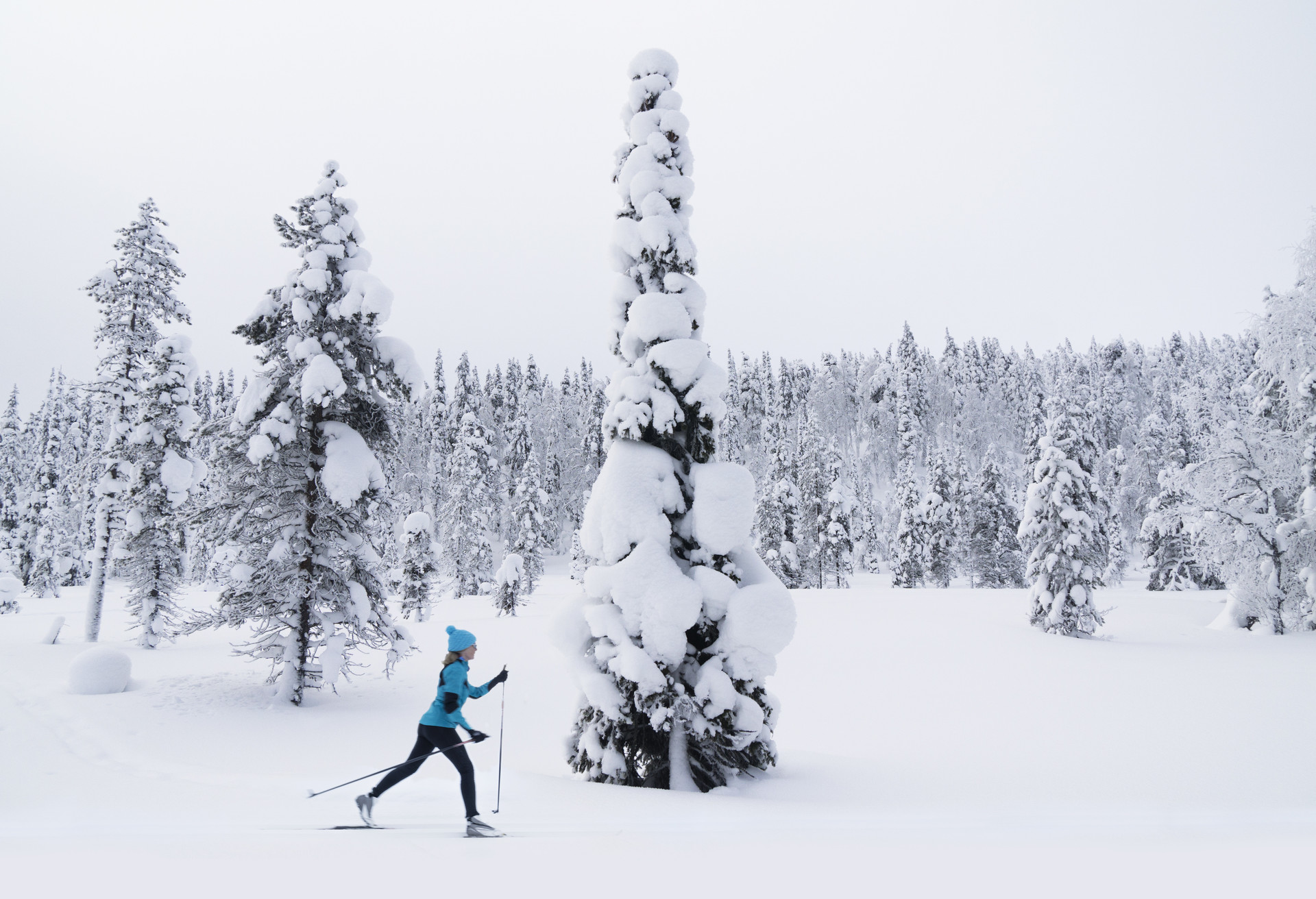 Parhaat laskettelukeskukset Pohjoismaissa: Top 10 | momomdo Discover