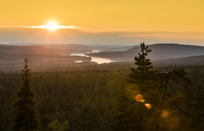 Koe lappi kesällä ja läpi yön paistava aurinko