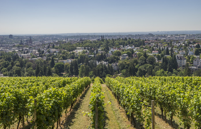 Juhannus Saksassa voi tarkoittaa myös vierailuja viinitiloilla