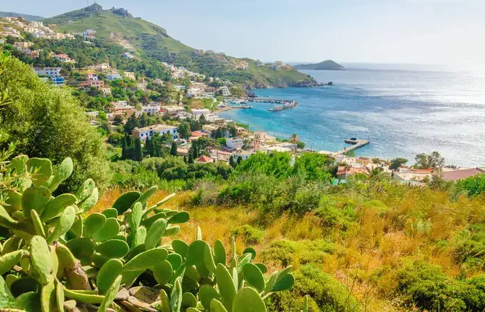 Cactuses and bay with typical Greek houses on the coast, Greek Islands, Aegean Sea
