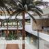 Aula