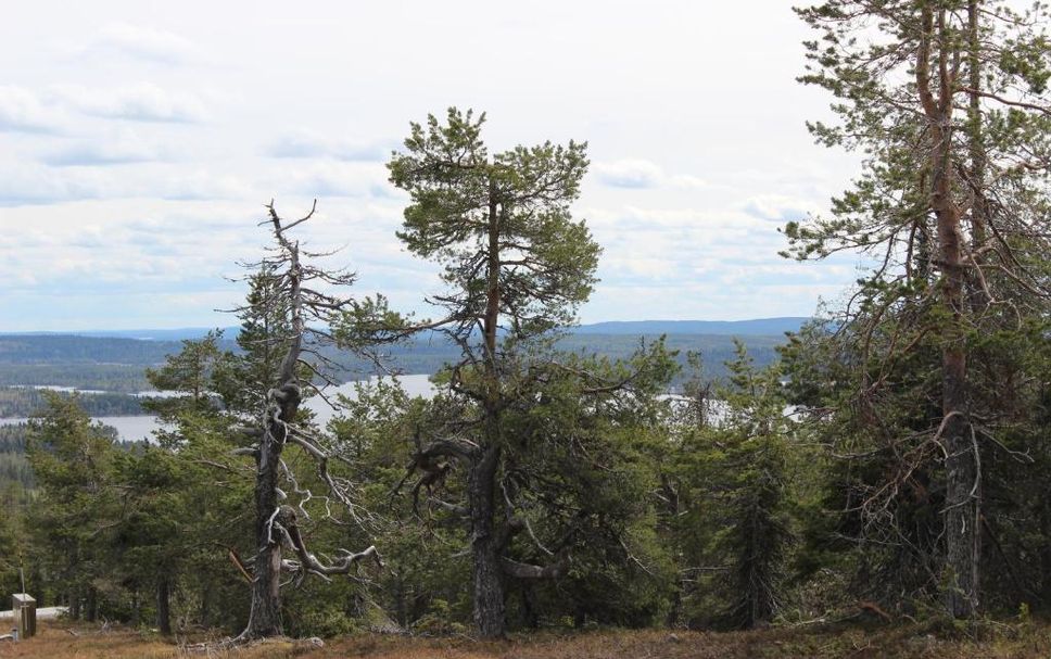 Näkymät ulkona Valokuva