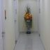 Aula
