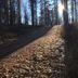 Näkymät ulkona