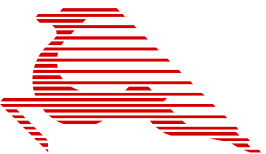 Tunisair Express
